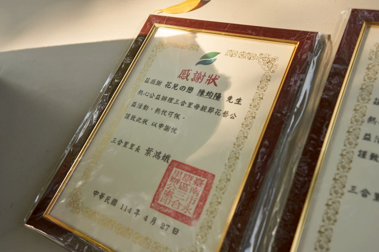 图片8